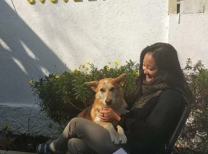Cocollona *