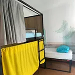 Cocollona