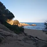 Cocollona Хостел