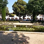 Cocollona *