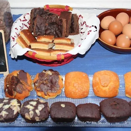 Хостел Cocollona Жирона