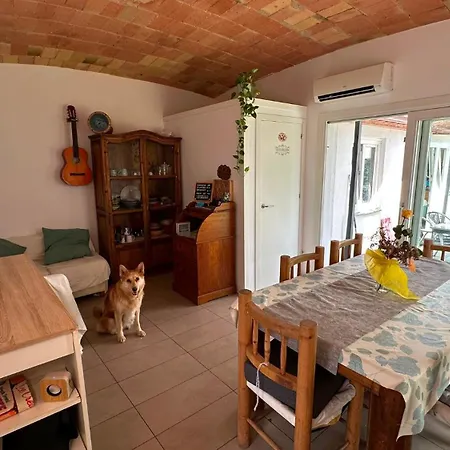 Hostel Cocollona
