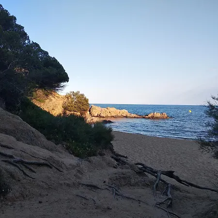 Cocollona Hostal
