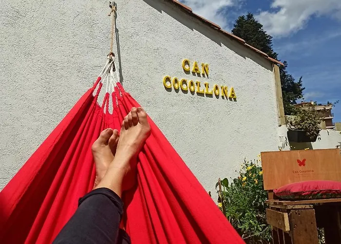 Cocollona 호스텔 *