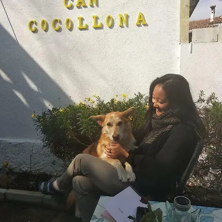 Cocollona *